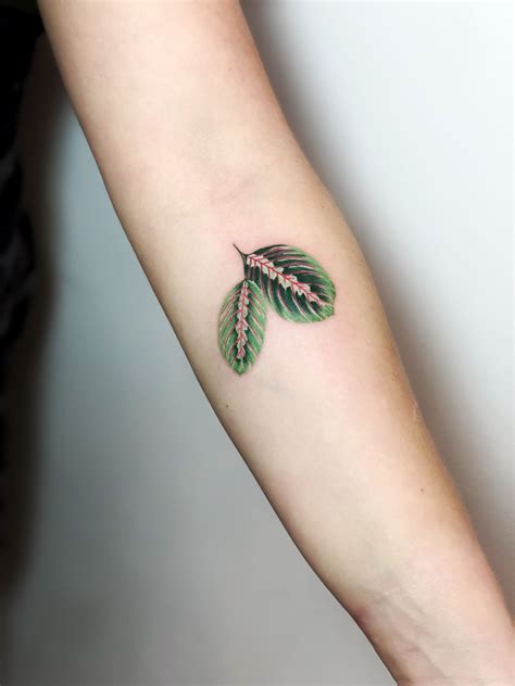 Praying plant in 2020 | Feminine tattoos, Botanical tattoo, Tattoos