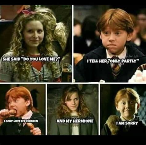 Tell her Ron Harry Potter Song, Harry Potter Mems, Mundo Harry Potter ...