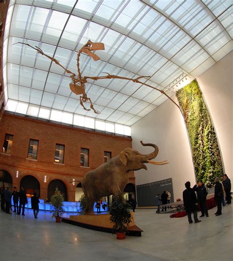 TOULOUSE MUSEUM | TOULOUSE | Museum