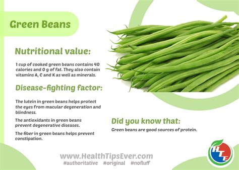 Green Beans Nutritional Value – Health Tips Ever Magazine