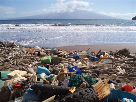 Marine debris laden beach in Hawaii | Kanapou Bay, on the Is… | Flickr