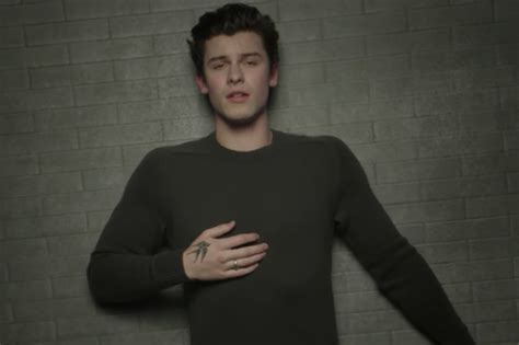 Shawn Mendes lanzó el vídeo oficial de “In My Blood”