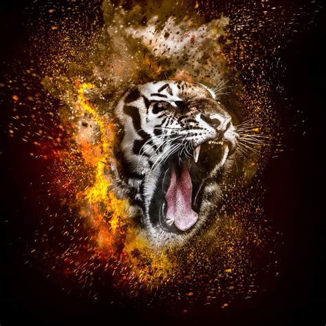 Tiger Roar Wallpapers - Top Free Tiger Roar Backgrounds - WallpaperAccess