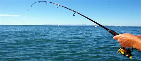 The Beginners guide to fishing from the shore, pier, beach or cliff.