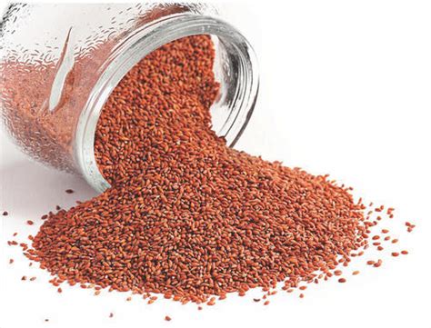 Garden cress seeds: Benefits, uses and side effects