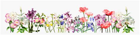 Flower Header Clipart Picture Royalty Free Download - Spring Flower Banner Transparent, HD Png ...