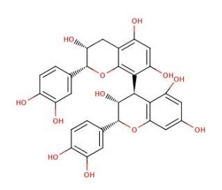 Procyanidin B2 | CAS 29106-49-8 | SCBT - Santa Cruz Biotechnology