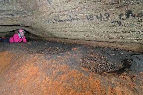 The Archaeology And Prehistoric Art Of Dunbar Cave, TN - Dave's Garden