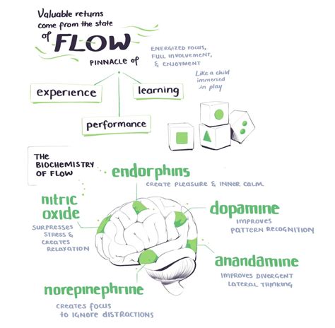 Building a second brain the illustrated notes – Artofit