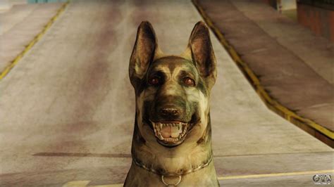 Dog Skin v2 para GTA San Andreas