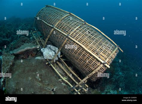 Fish trap on reef, Pantar Island, Alor Archipelago, Lesser Sunda ...