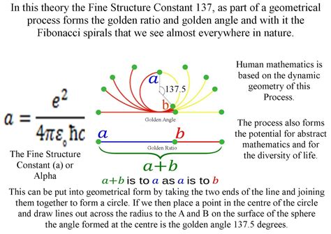 Image result for fine structure constant | Fibonacci, Sacred geometry tattoo, Fibonacci spiral