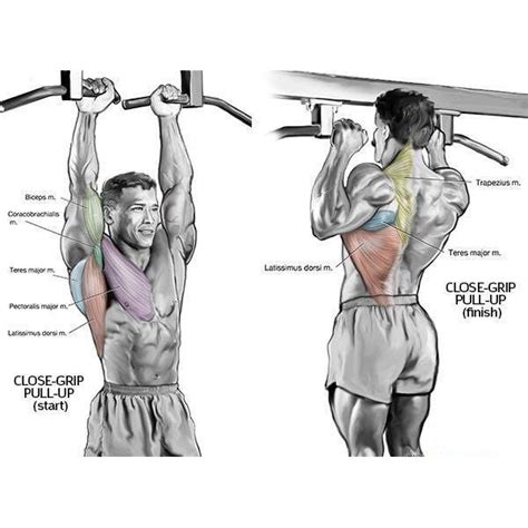 a man is doing pull ups with his back and shoulder muscles labeled in ...