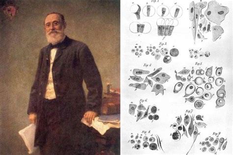 Rudolf Carl Virchow Cell Theory