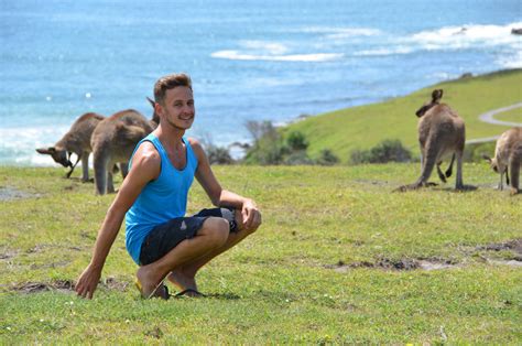 See Kangaroos on the Beach in Australia