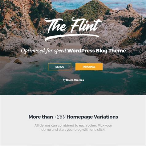 15+ Highly Customizable WordPress Themes and Templates for 2020