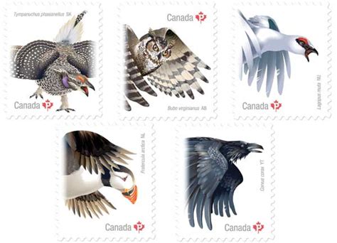 Canada Post launches Birds of Canada stamp series | Canada Post