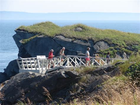 Roosevelt Campobello International Park - Main Network - Maine Trail Finder