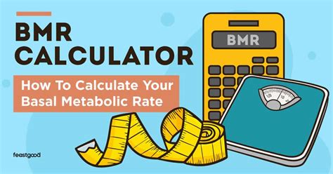 BMR Calculator: How To Calculate Your Basal Metabolic Rate - FeastGood.com