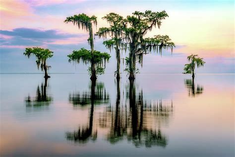 Lake Maurepas Reflection Photograph by Rick Berk - Pixels