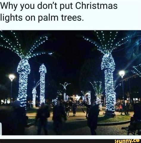 Why you don't put Christmas lights on palm trees. BS - iFunny