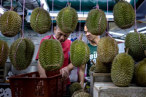 Decades ago, he stole a tree branch. Now he is the Durian King - Los Angeles Times