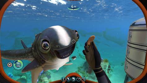 Subnautica - Every Cuddlefish Egg Location - YouTube