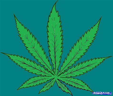 how-to-draw-cannabis,-cannabis-leaf-step-4A by bigkrocks on DeviantArt