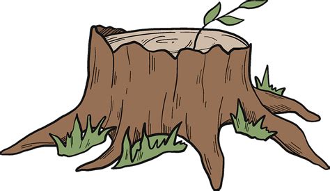 Tree stump clipart. Free download transparent .PNG | Creazilla