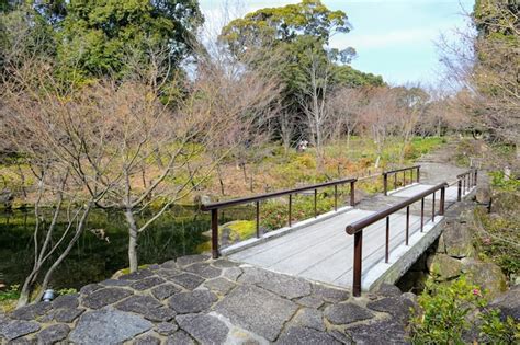 Free Photo | Natural landscape with a wooden bridge