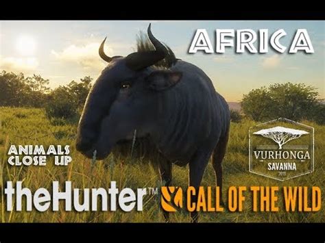 無料ダウンロード the hunter call of the wild vurhonga savanna animal map 113116-The hunter call of the ...