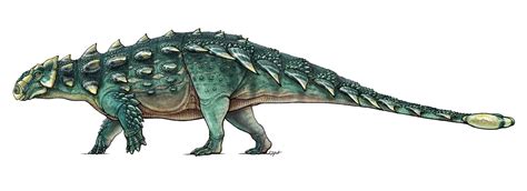 New find suggests ankylosaur’s tail clubs were for bashing each other - General News - Nsane Forums