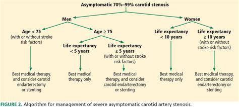 life expectancy with 70 blocked carotid artery - Arcelia Silvia