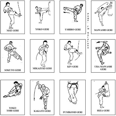 UWKKO - List of Karate Kicks (Beginner & Advanced)...