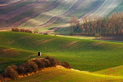 South Moravia / Czech republic | TATRA PHOTOGRAPHY