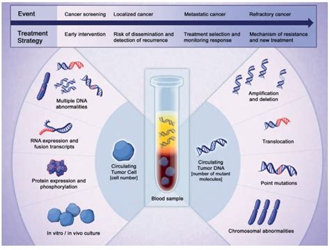 What can we learn from liquid biopsies? | Cancer World Archive