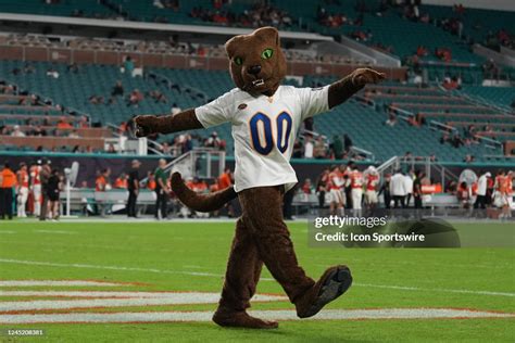 The Pittsburgh Panthers mascot walks in the end zone after a... News ...