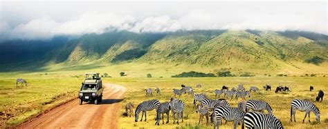 Tanzania Big 5 Safari | Travel Creators