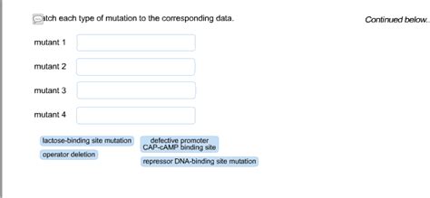 Solved Which types of mutations in the lac operon stop | Chegg.com