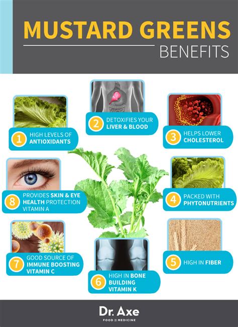 Mustard Greens Nutrition, Health Benefits & Recipes - Dr. Axe