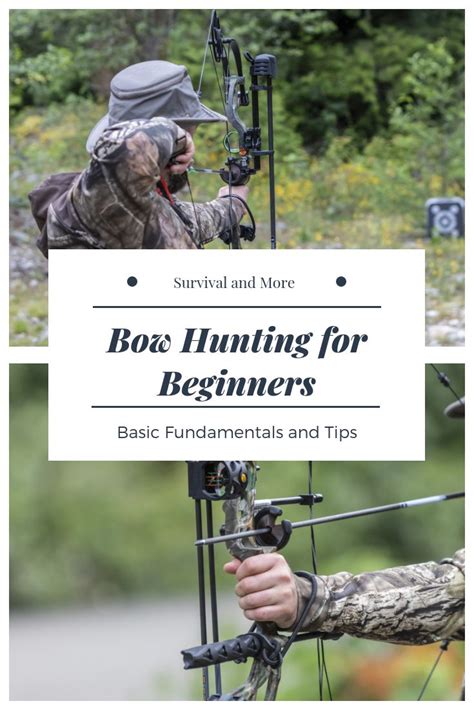 Bow Hunting For Beginners: Basic Fundamentals and Tips | Bow hunting for beginners, Bow hunting ...