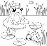 Coloring Book For Children Cute Cartoon frog Sitting On A pond  sketch template