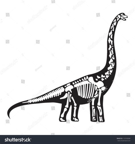 Brontosaurus Skeleton: เวกเตอร์สต็อก (ปลอดค่าลิขสิทธิ์) 110195948 ...