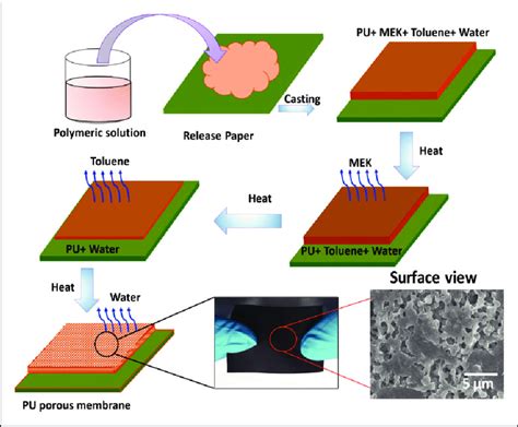 Schematic illustration of the porous membrane fabrication process. | Download Scientific Diagram