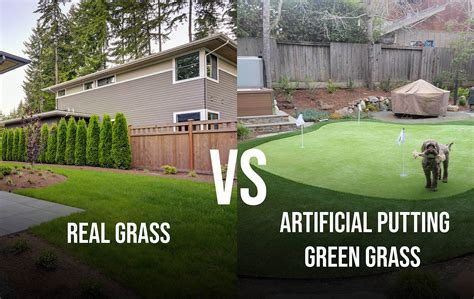Putting Green Grass in Boise Idaho vs. Real Grass: Which is Safer?