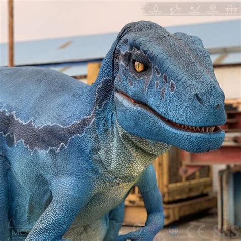 Best Party Rental Raptor Blue Costume-DCRP709