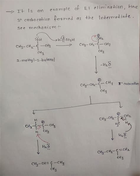 [Solved] 1. The reaction of 2-methyl—2- butanol with sulfuric acid ...