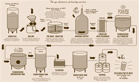 Beer brewing process, Brewing process, Beer brewing