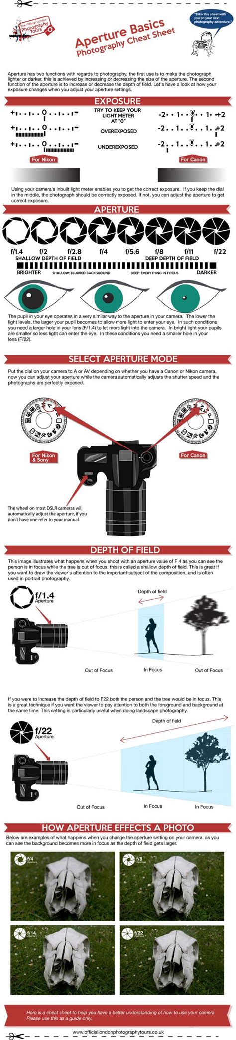 Aperture basics and F Stops Explained | The Official London Photography Tours | Photography ...