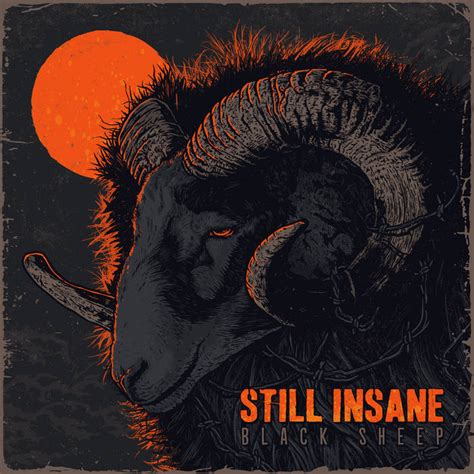 still-insane-black-sheep-album-cover – grandpamusic